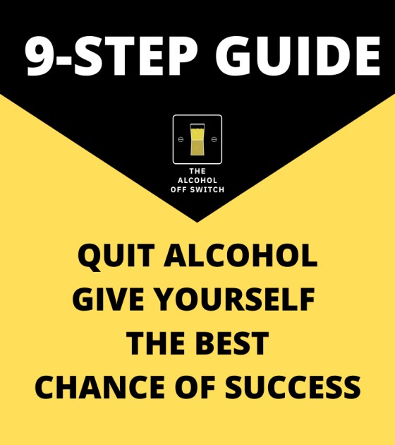 quit alcohol guide 9 steps image