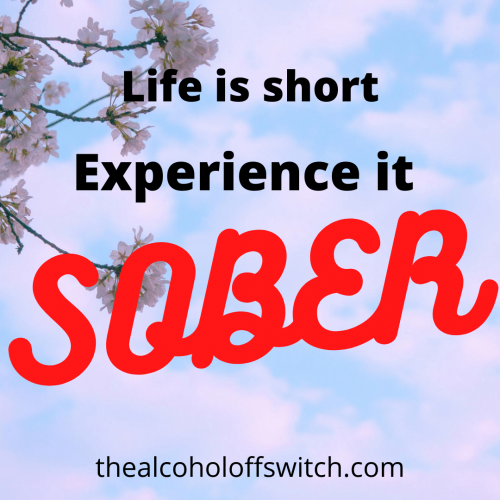 Life is short. Experience it sober